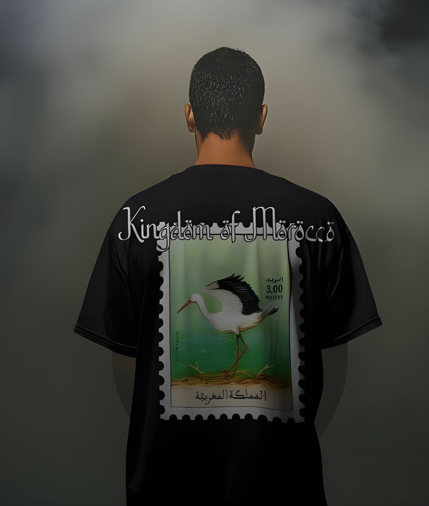 T-shirt : Kingdom of Morocco